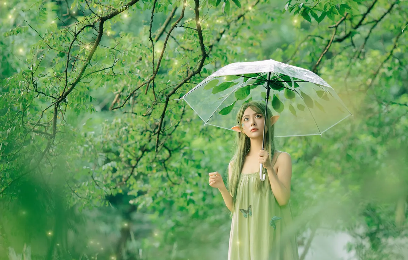 Фото обои Beautiful, Asian, Model, Umbrella, Woman, Cute, Trees, Pretty