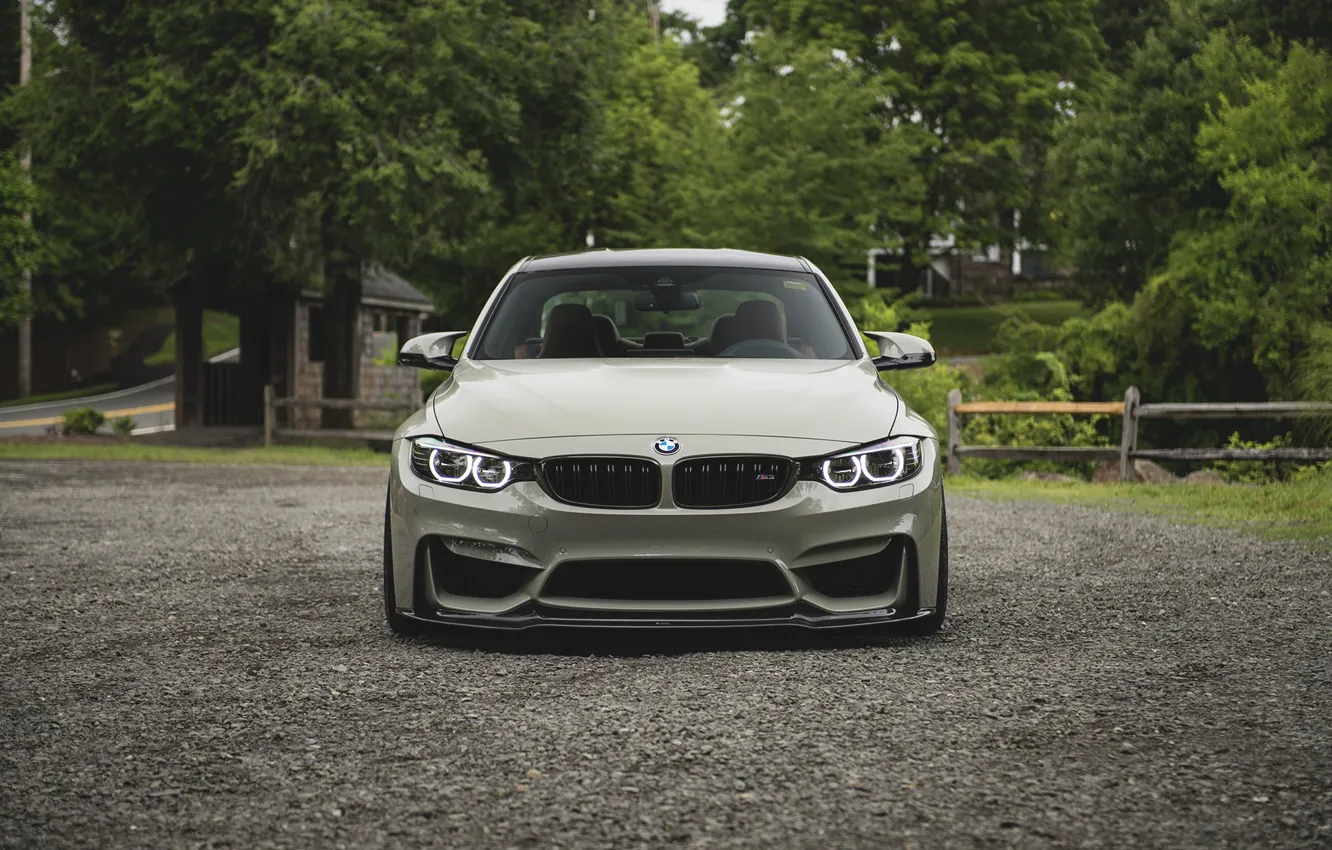 Фото обои BMW, Front, Face, F82, Forest