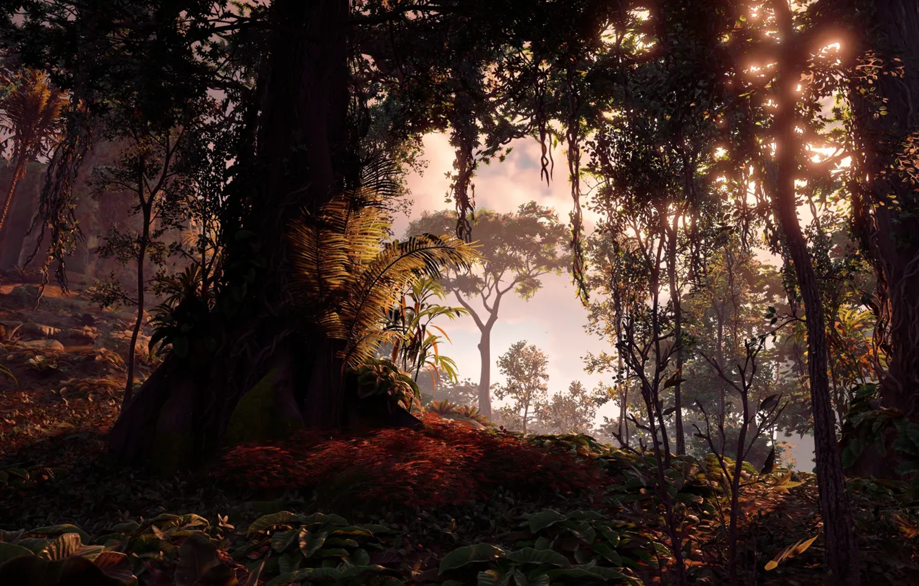 Фото обои деревья, Sony Interactive Entertainment, Horizon Zero Dawn, Action/RPG