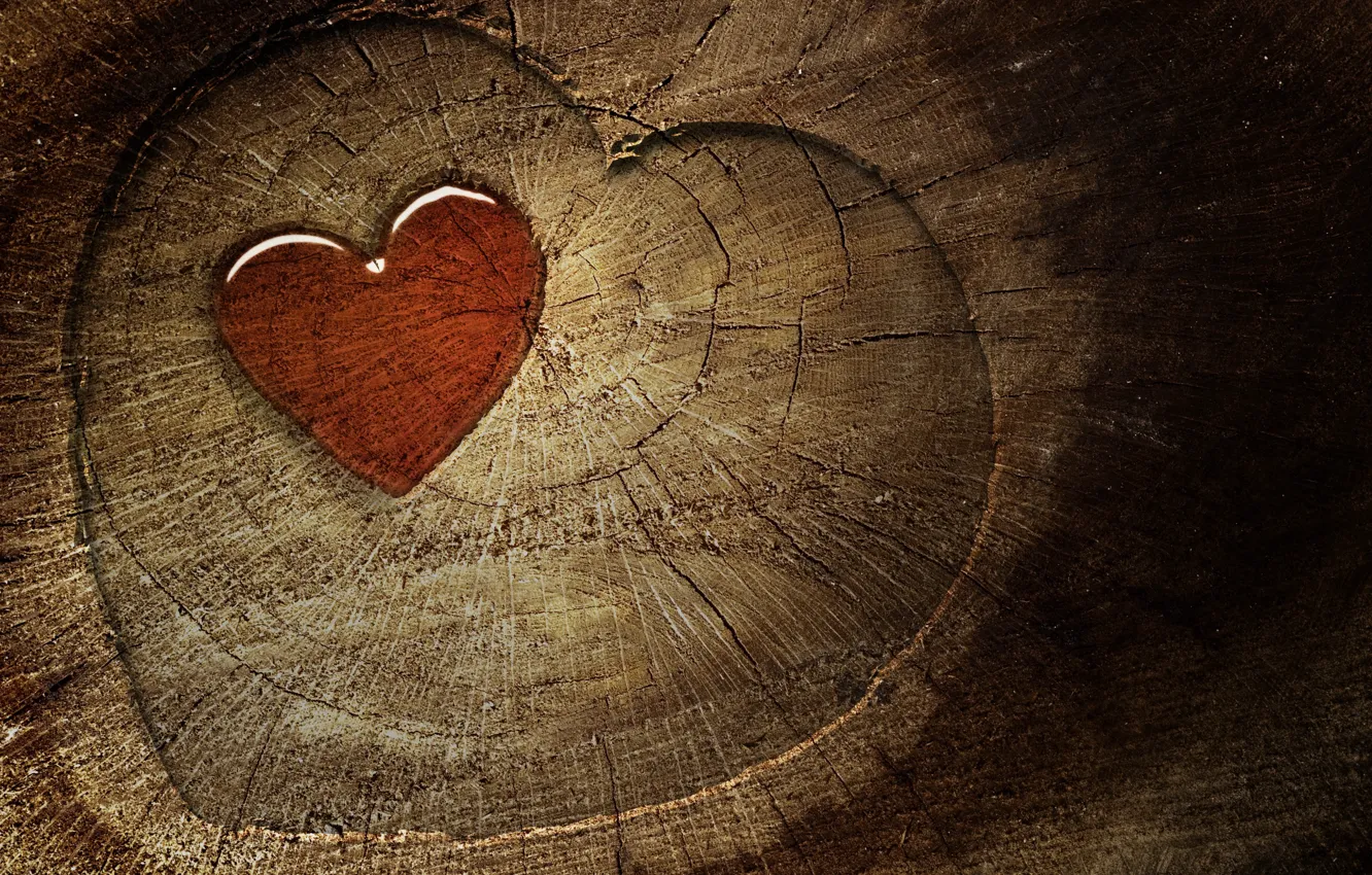 Фото обои трещины, дерево, текстура, сердца, сердечки, бревно, срез