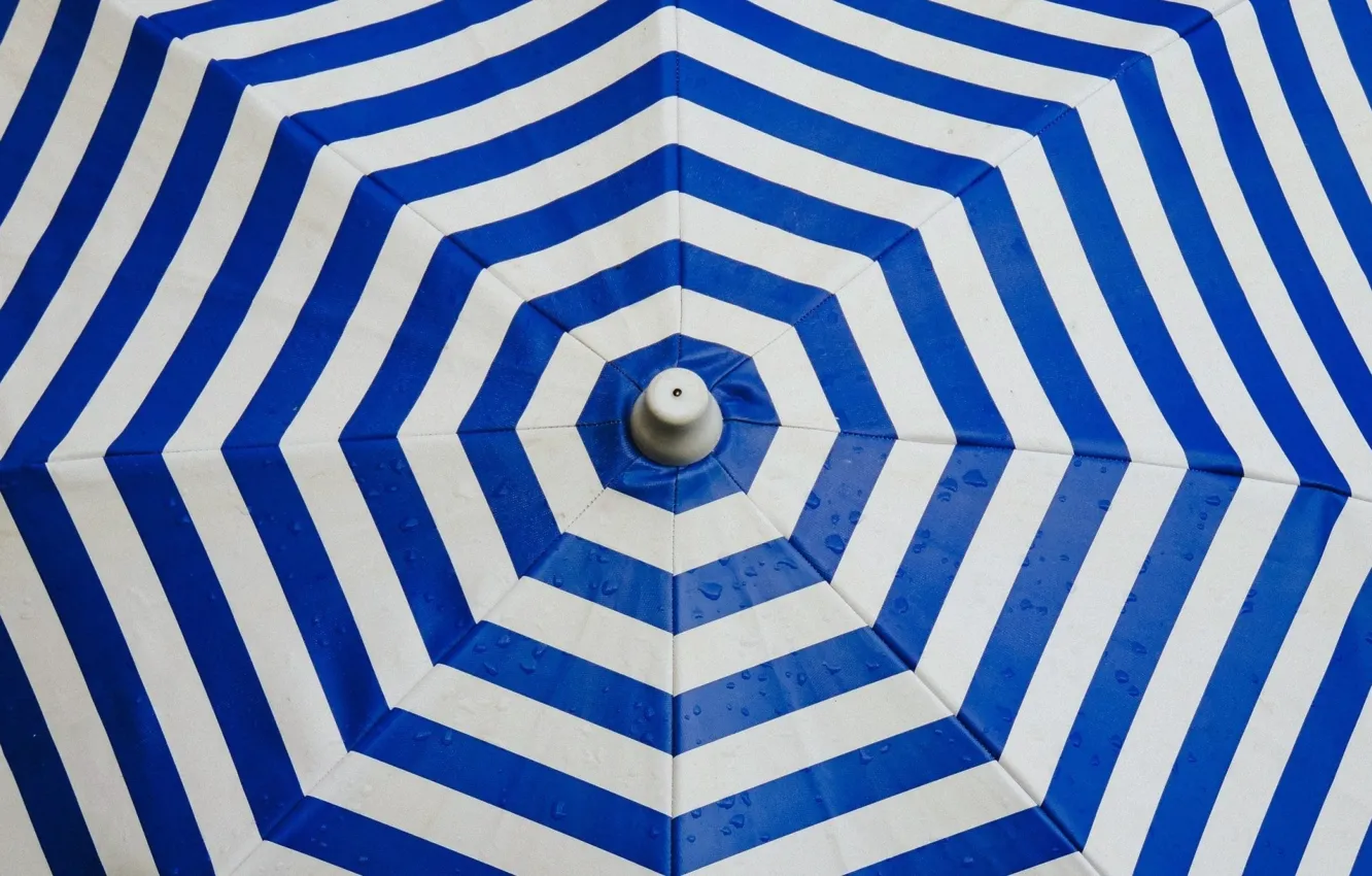 Фото обои полосы, зонт, полосатый