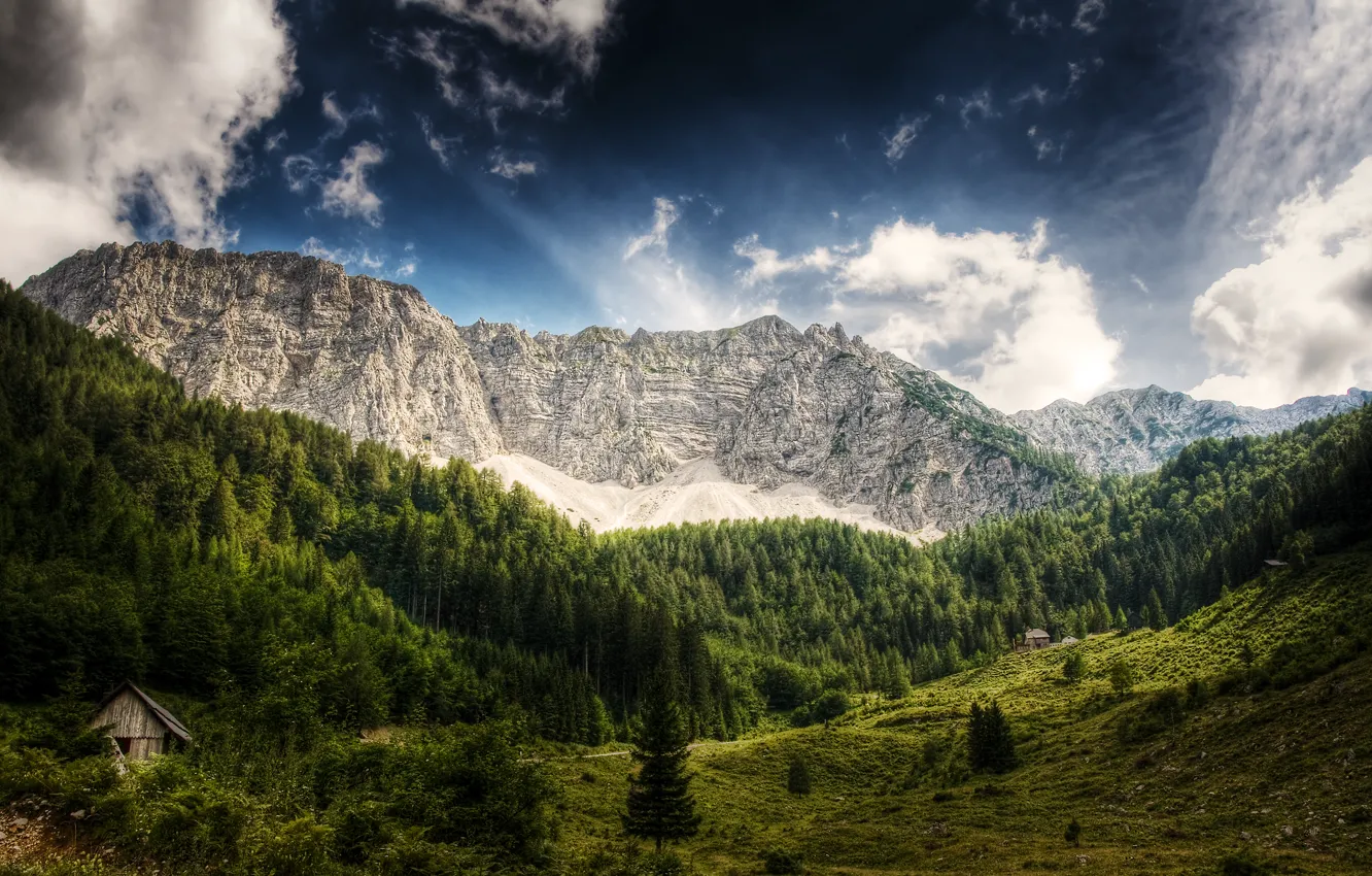 Фото обои лес, небо, облака, деревья, горы, Австрия, деревянный, домик