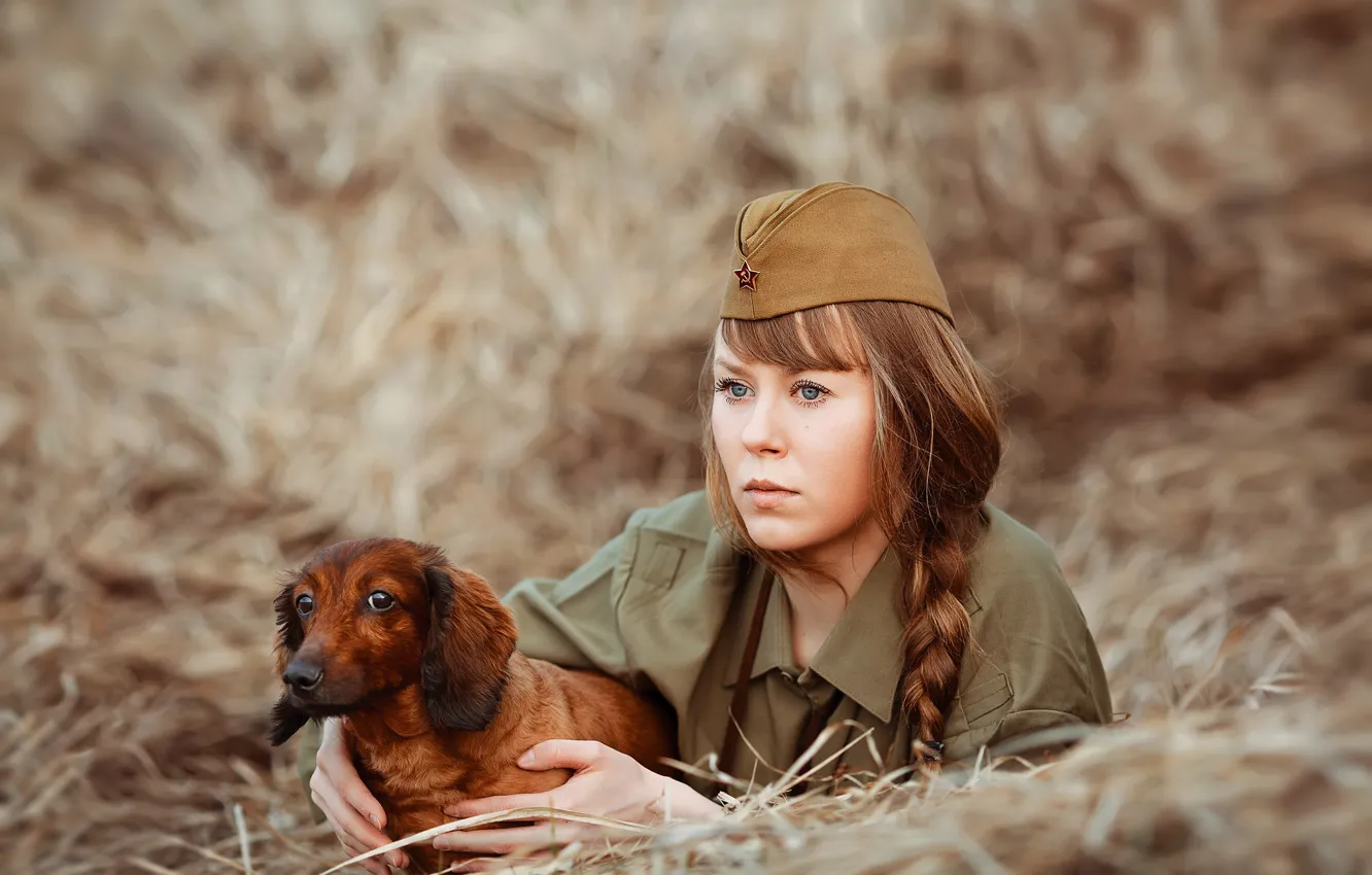 Фото обои взгляд, девушка, собака, солдат, сено, такса, коса, пилотка
