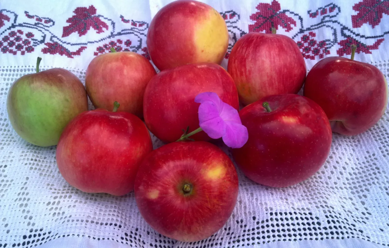 Фото обои цветок, яблоки, Лето, красные, скатерть, спелые, дары лета