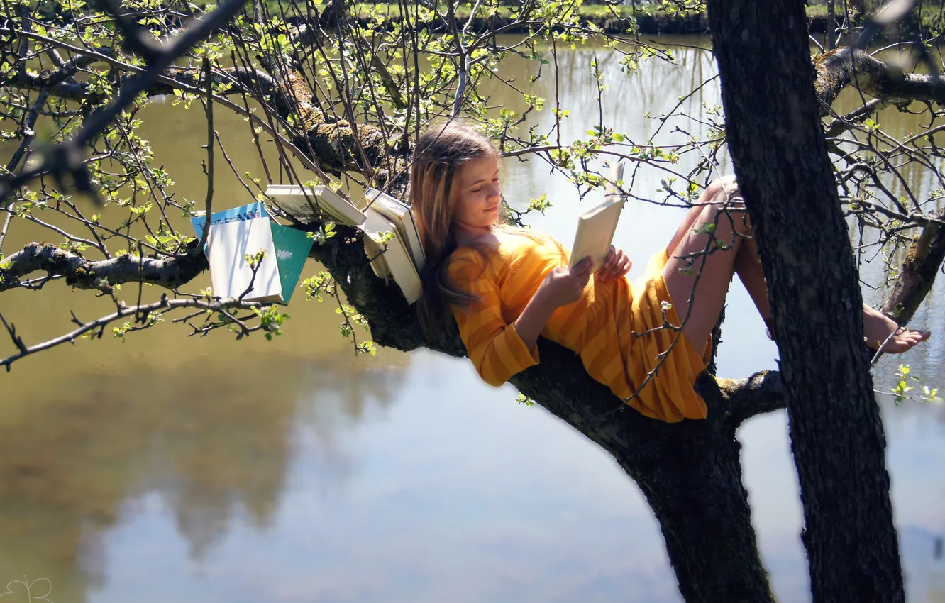Фото обои вода, девушка, дерево, книги, girl, water, читает