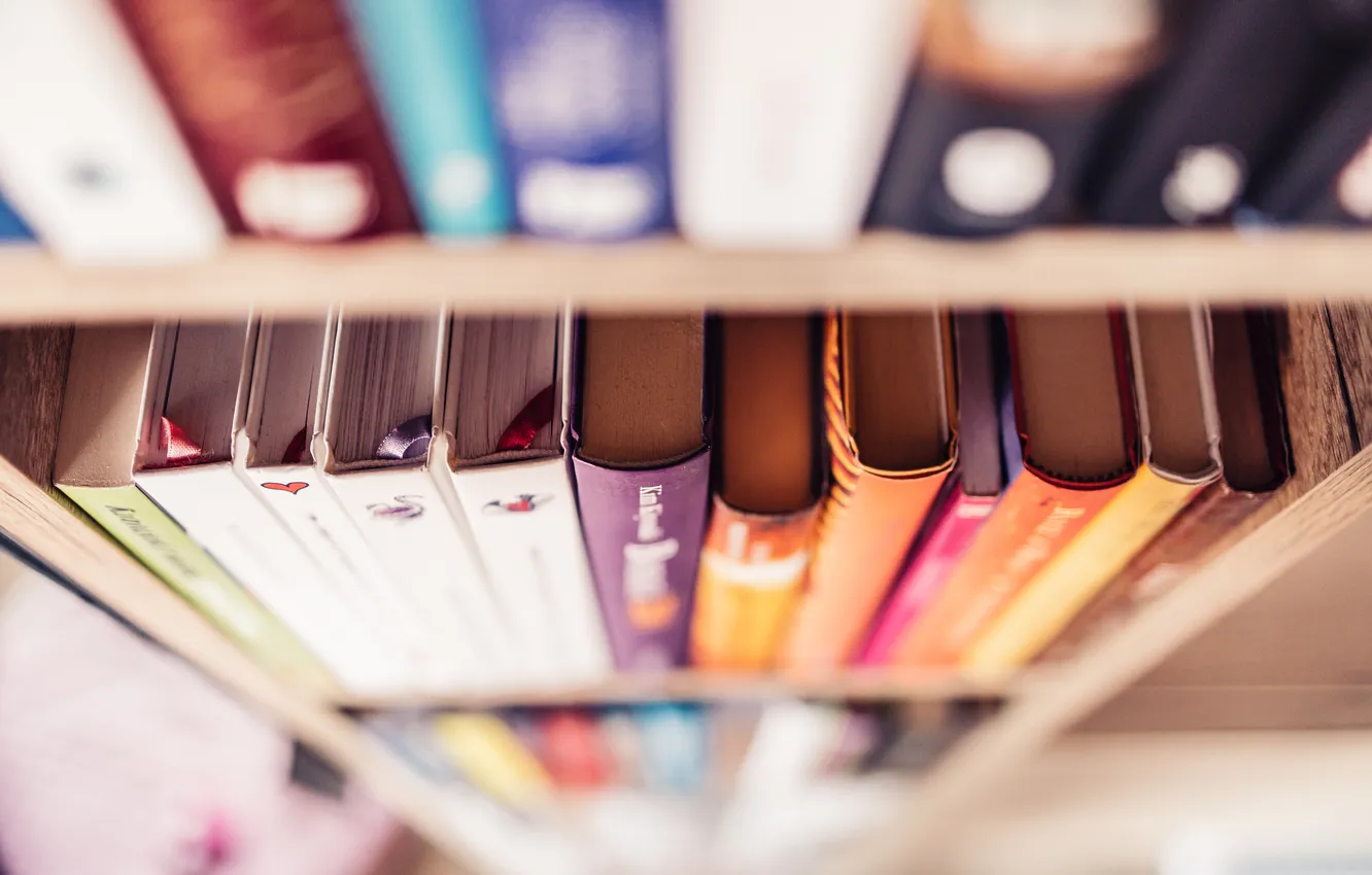 Фото обои books, bookshelf, tidy