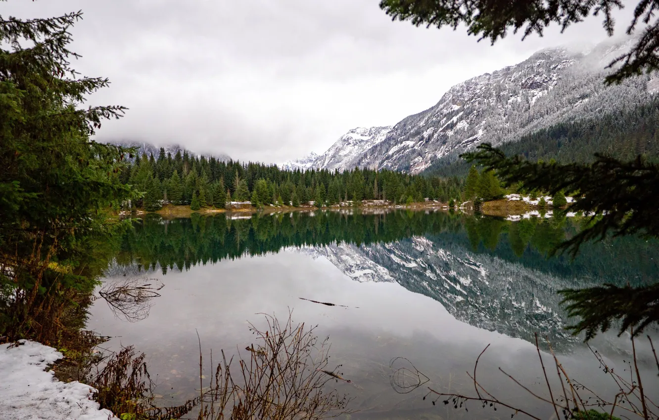 Фото обои Зима, Орегон, USA, США, Winter, Oregon, Calm Lake, Девственный лес