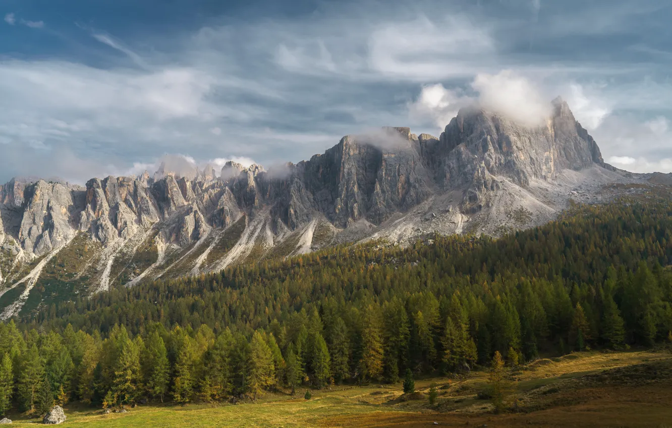 Фото обои forest, field, landscape, Italy, nature, Europe, mountains, clouds