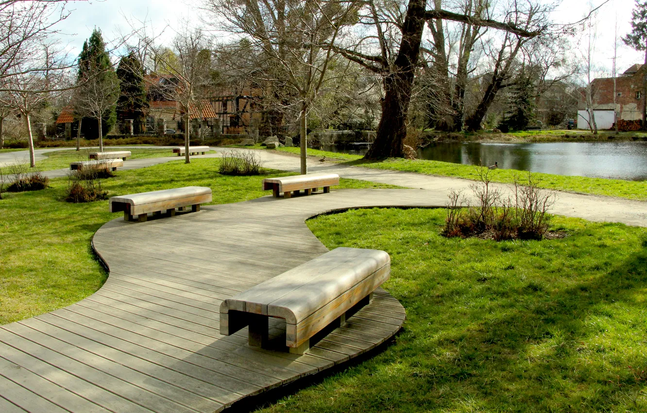 Фото обои park, bench, alley
