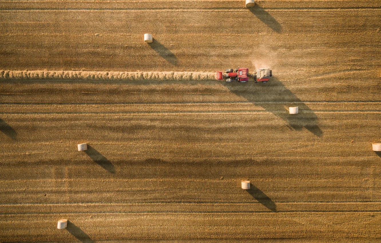 Фото обои поле, сено, трактор