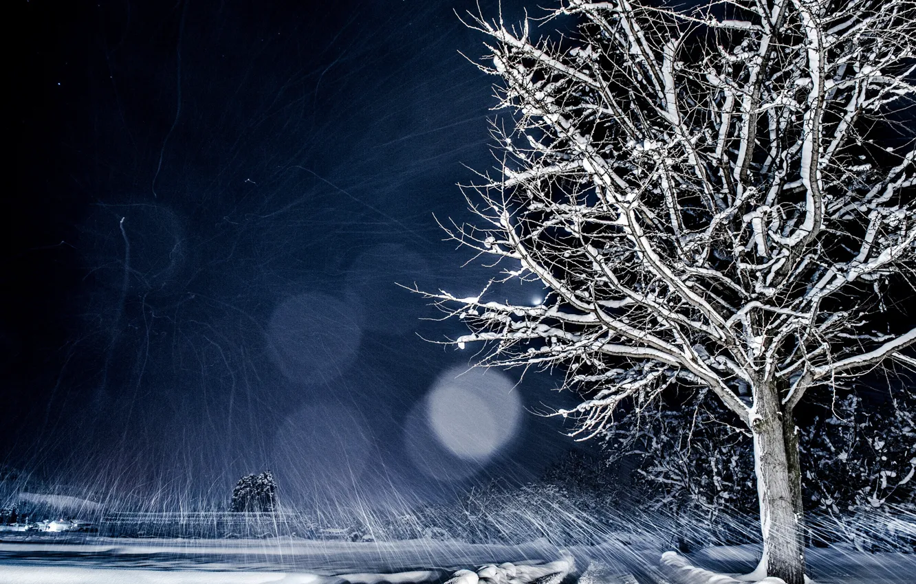 Фото обои зима, снег, ночь, природа, дерево, боке