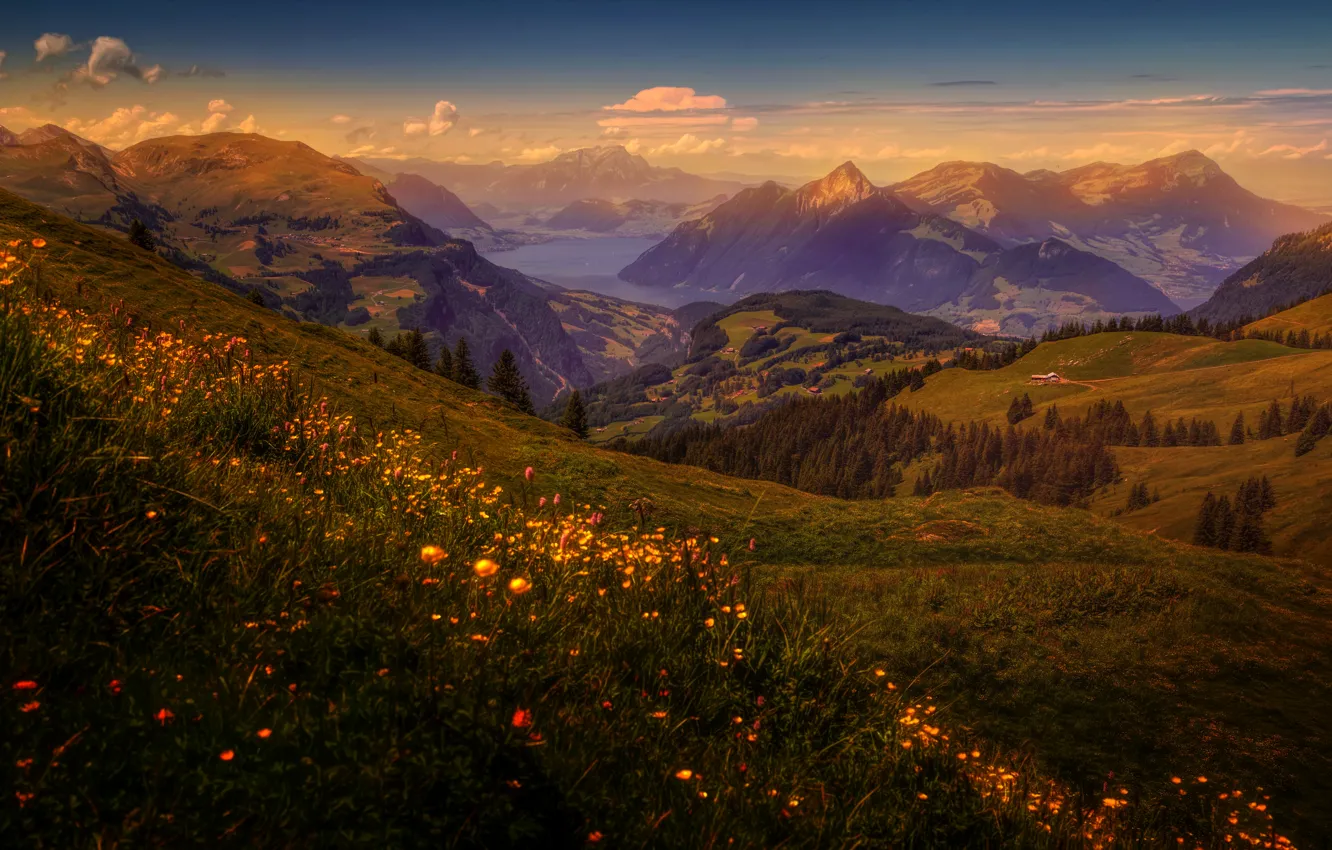 Фото обои трава, деревья, цветы, горы, озеро, рассвет, поля, обработка