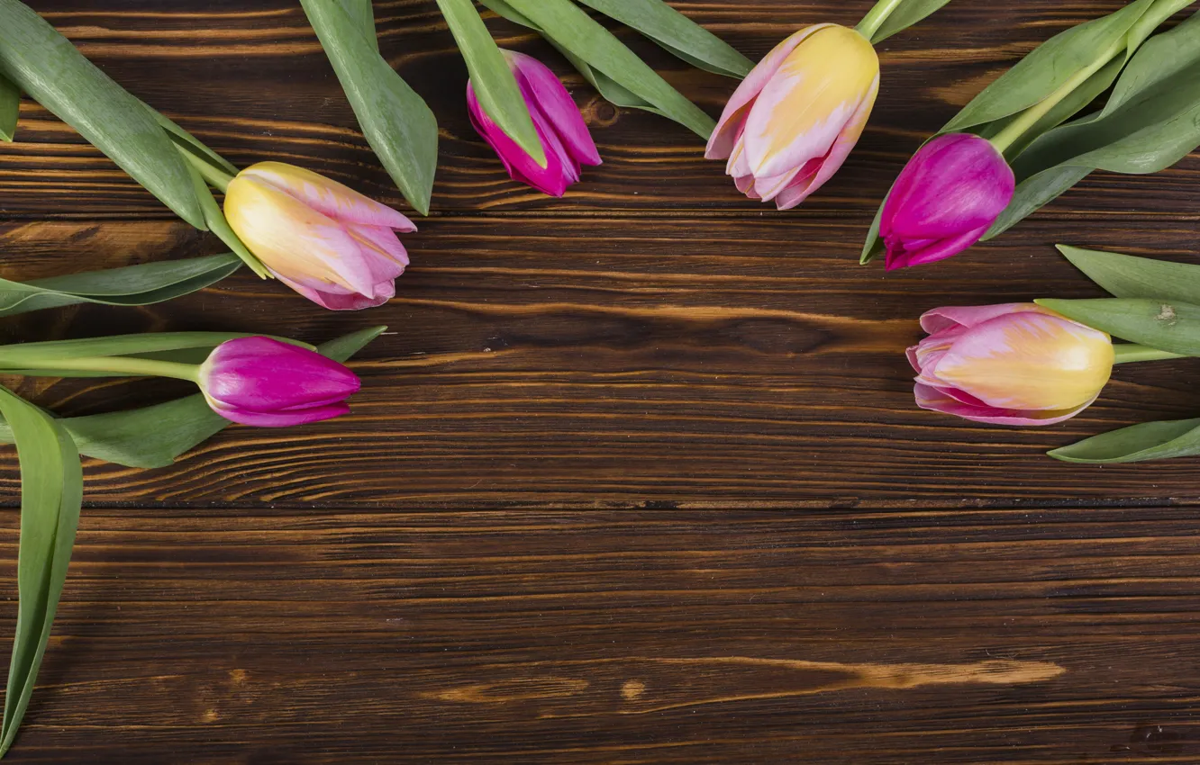 Фото обои цветы, colorful, тюльпаны, розовые, fresh, wood, pink, flowers