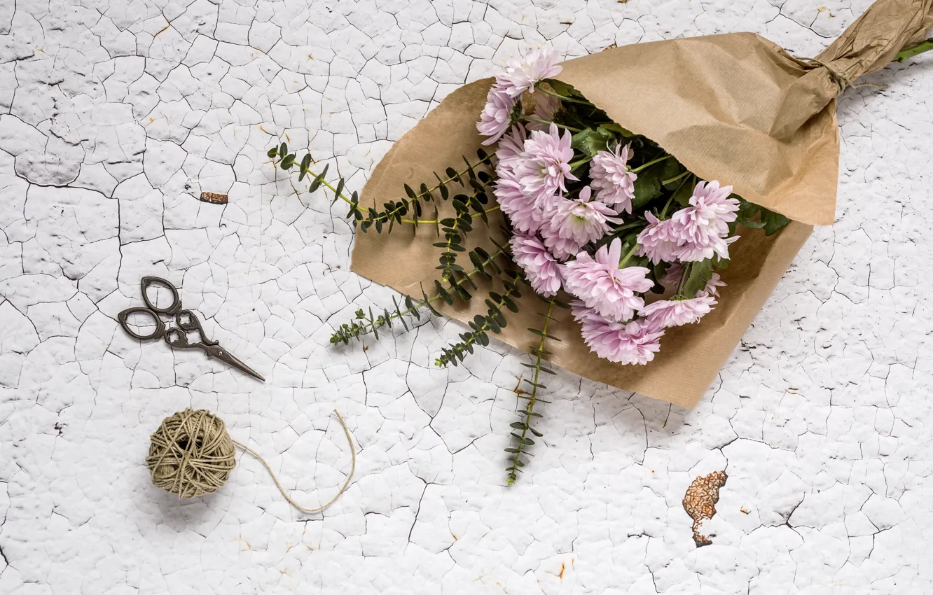 Фото обои цветы, фон, розовые, хризантемы, wood, pink, flowers, violet