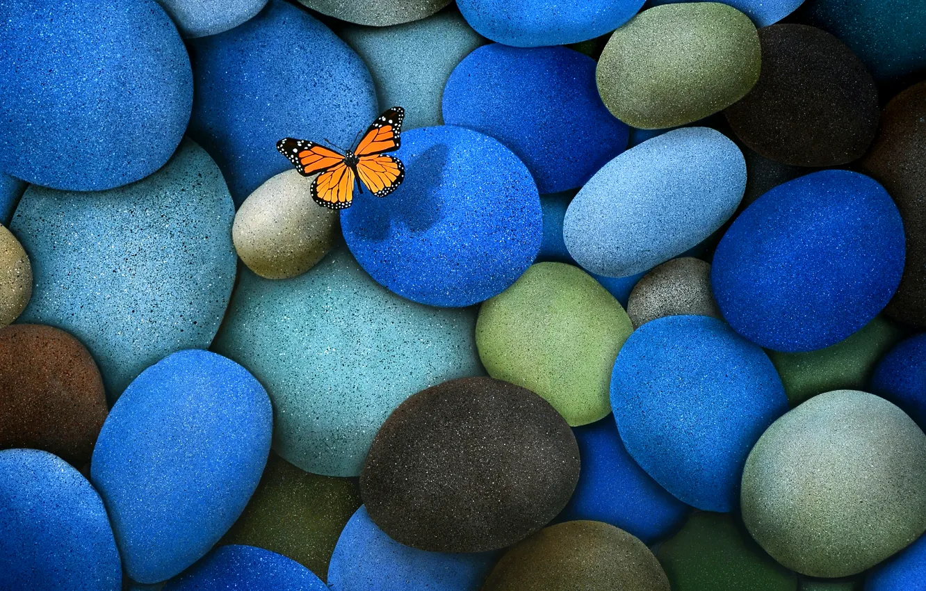 Фото обои камни, бабочка, голубые, коричневые