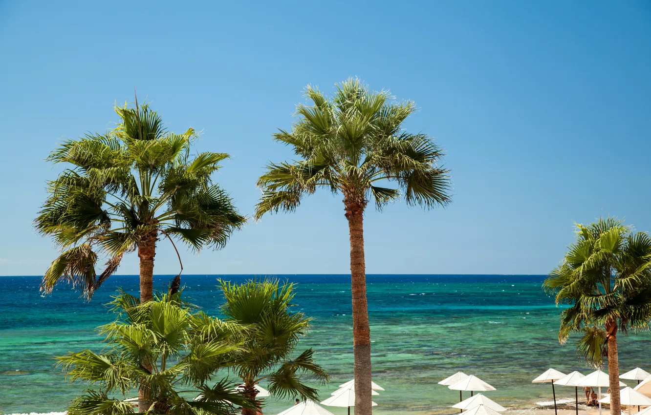 Фото обои море, пляж, небо, солнце, тропики, пальмы, горизонт