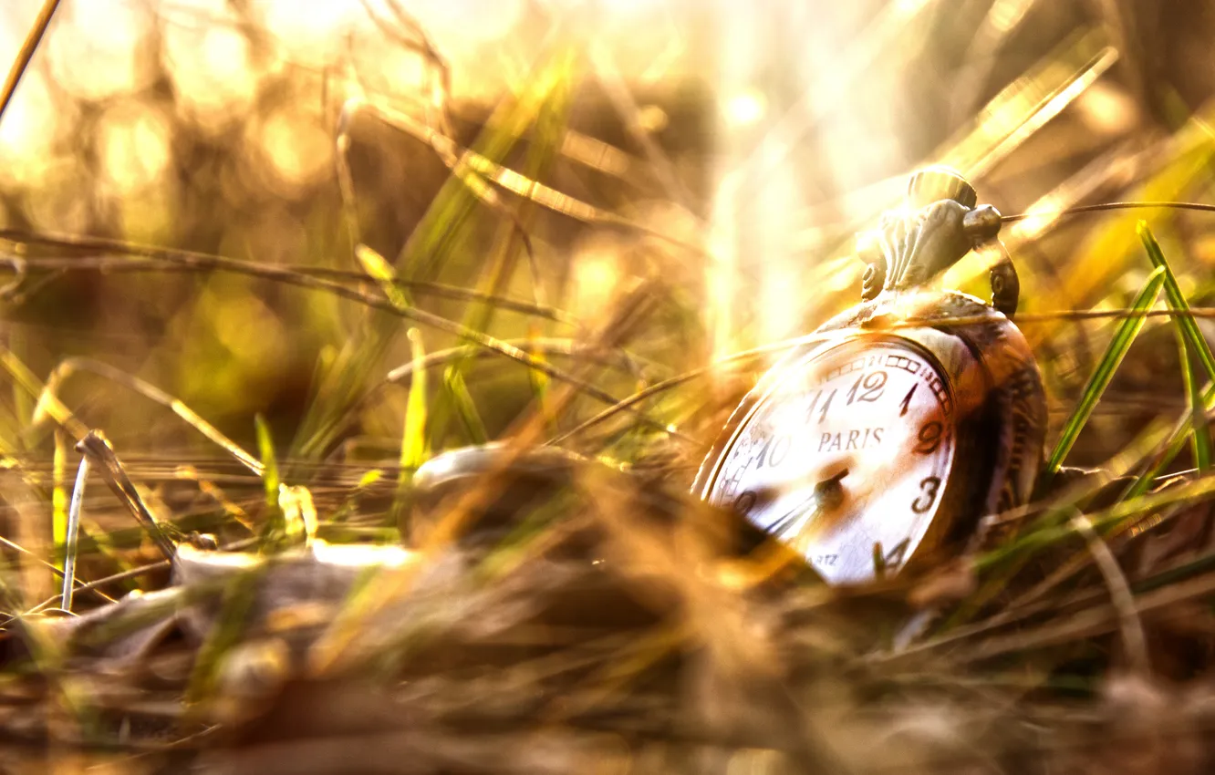 Фото обои трава, часы, крышка, циферблат, боке