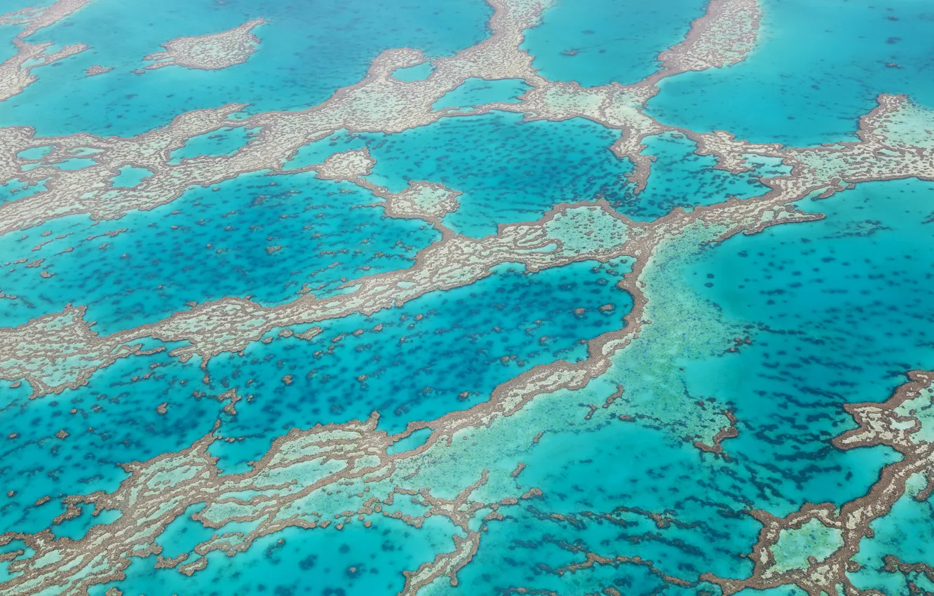 Фото обои вода, текстура, карибское море, баръерный риф