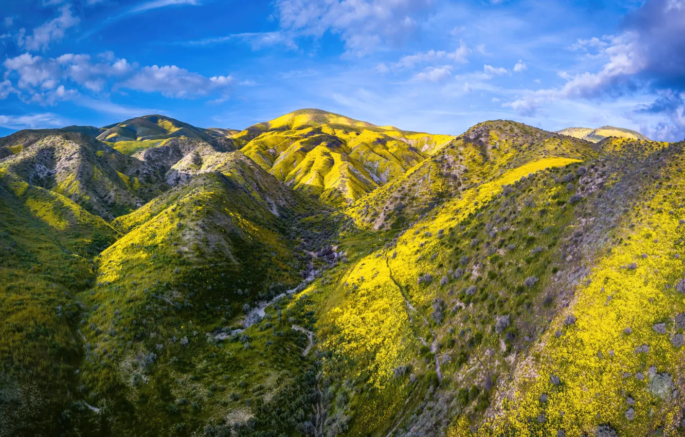 Фото обои california, plain, national monument, carrizo