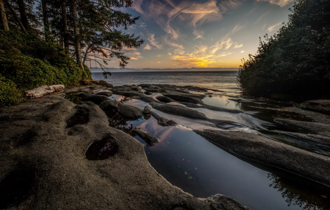 Фото обои деревья, туман, побережье, утро, Канада, залив, Vancouver Island, National Parks