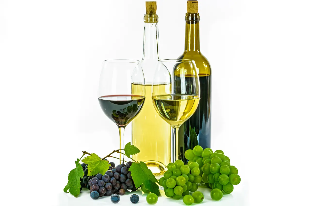 Фото обои wine, grape, liquid, vineyard