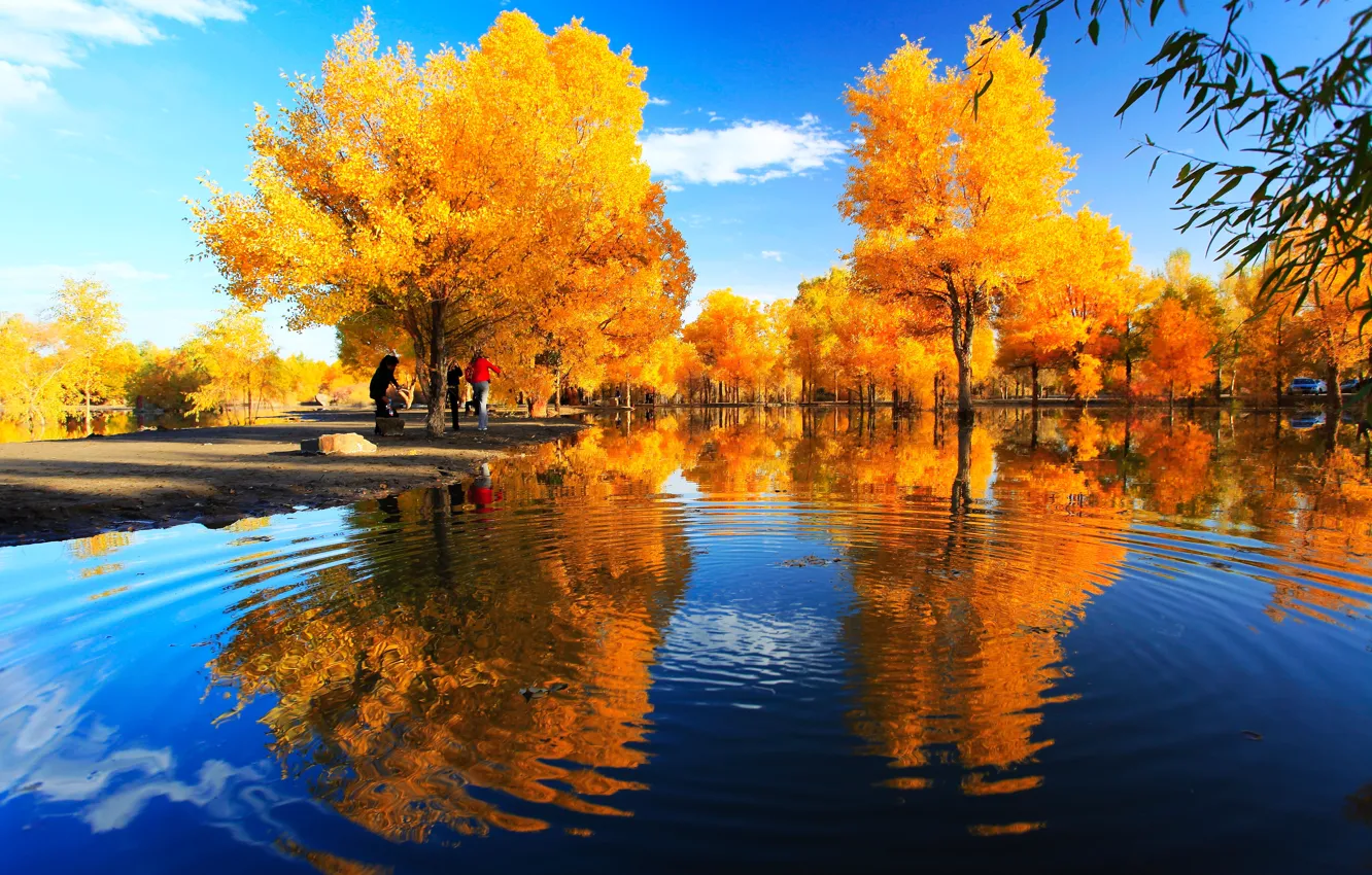 Фото обои осень, деревья, парк, река, Китай