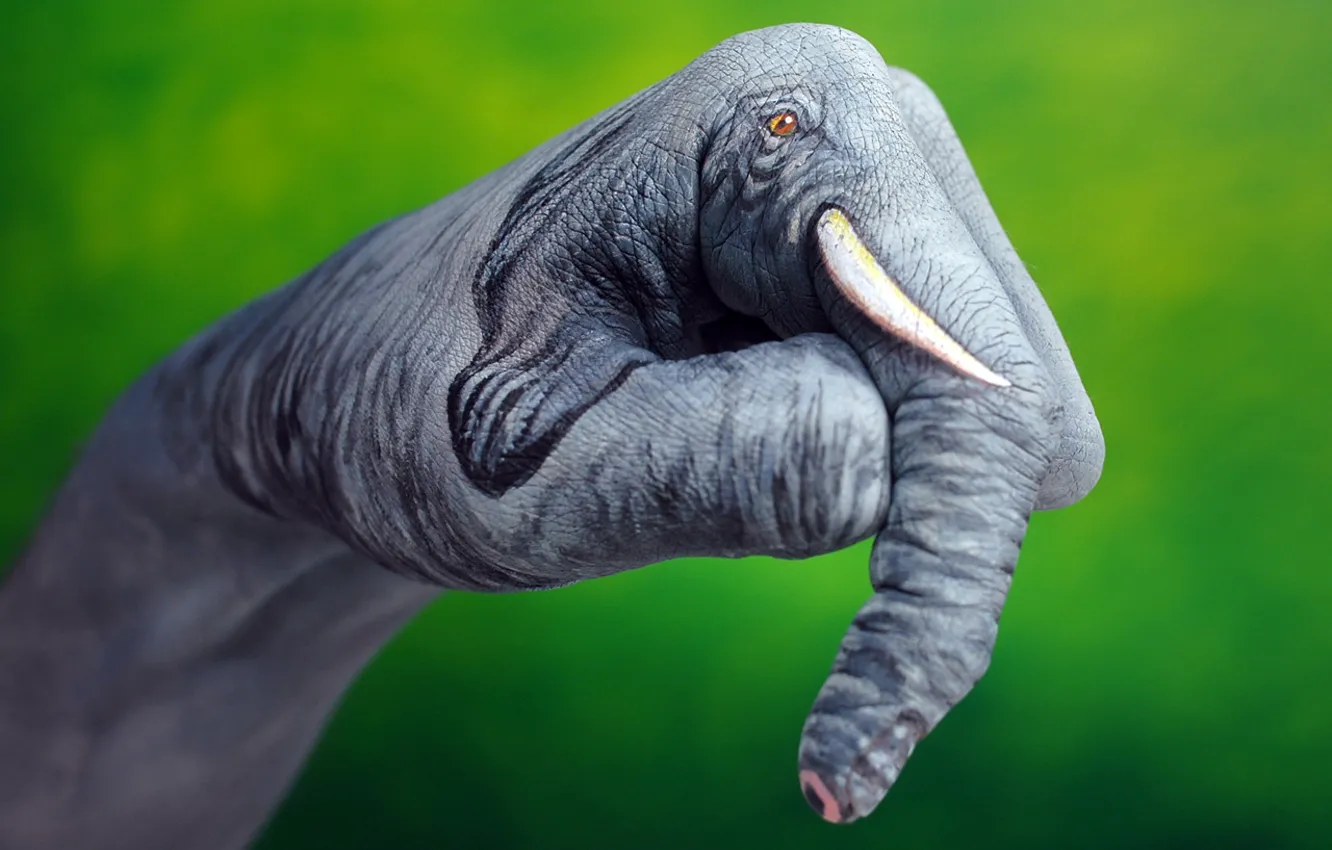 Фото обои зеленый, фон, слон, рука