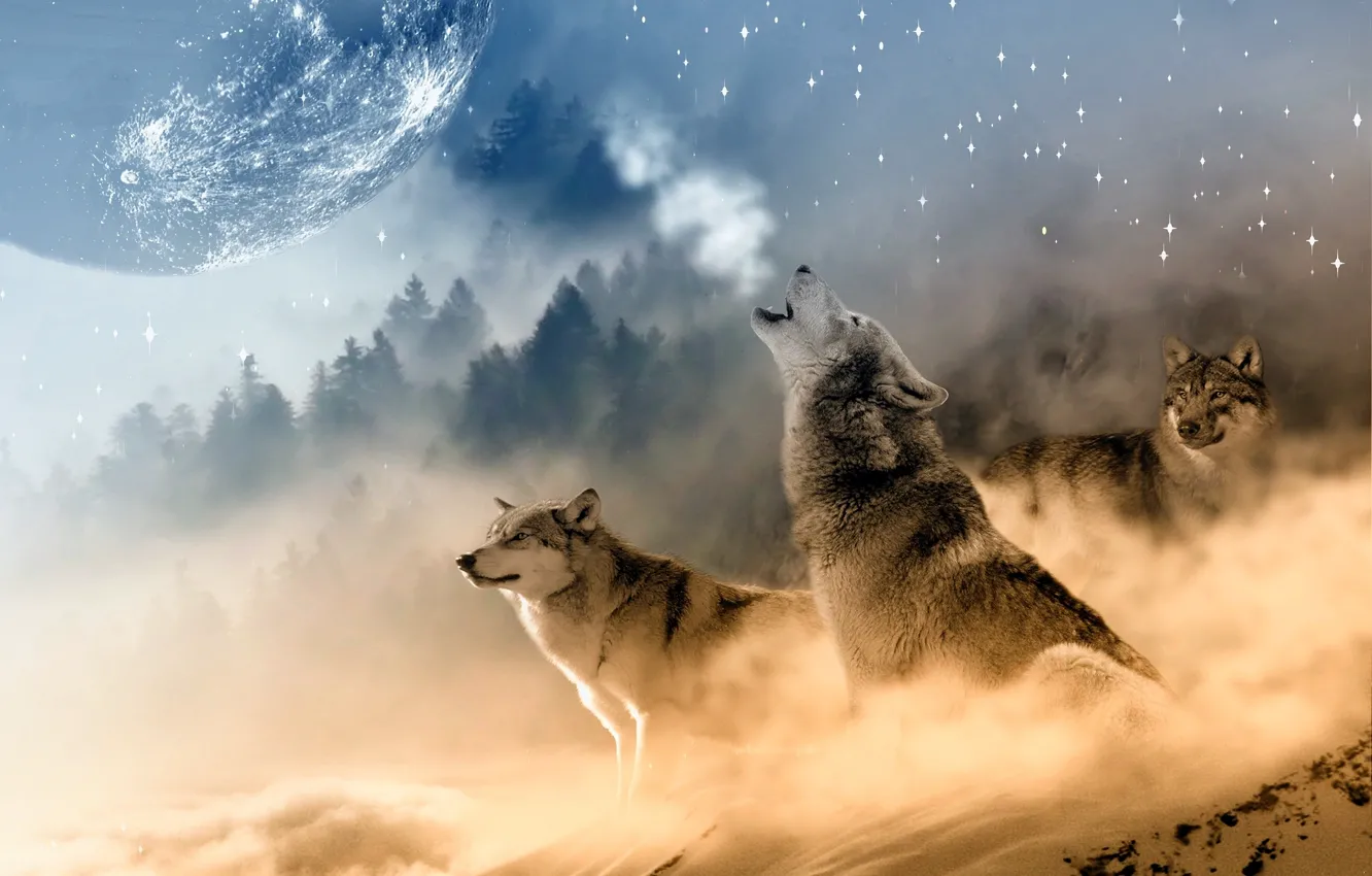 Фото обои пейзаж, луна, зимний, три, вой, волка