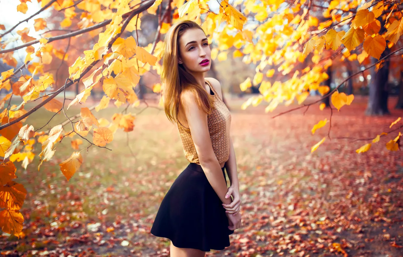Фото обои Girl, Fall, Beautiful, Model, Tree, Autumn, Beauty, Woman
