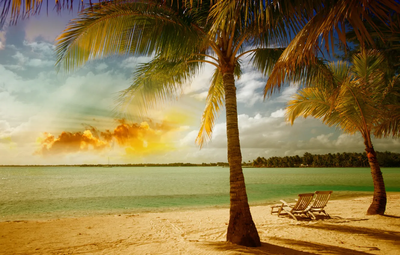 Фото обои песок, море, пляж, пальмы, берег, summer, beach, sea