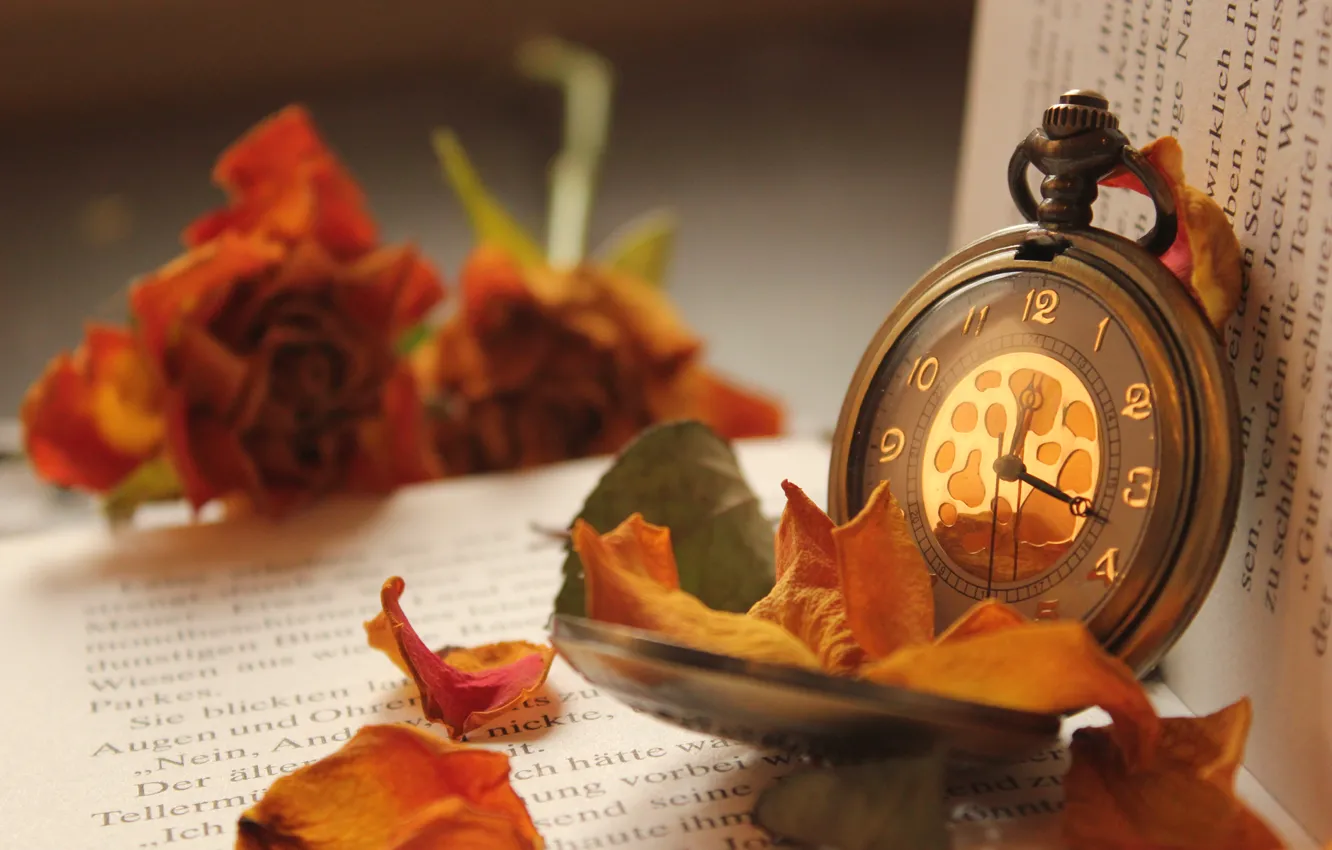 Фото обои цветы, часы, розы, лепестки, книга, карманные