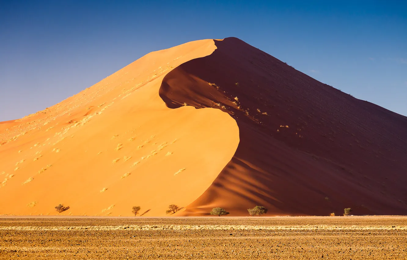 Фото обои sands, sun, heat, dune, Desert, arabian