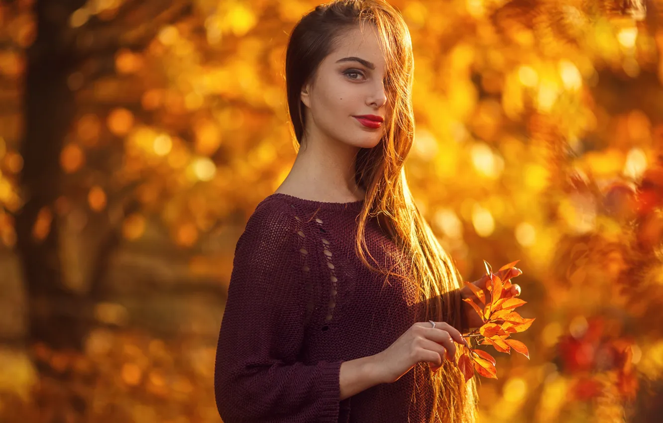 Фото обои осень, парк, модель, портрет, шатенка, красотка, боке, Poly