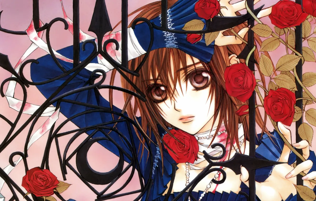 Фото обои ограда, art, vampire knight, yuuki cross, рыцарь-вампир, синее платье, красные розы, matsuri hino