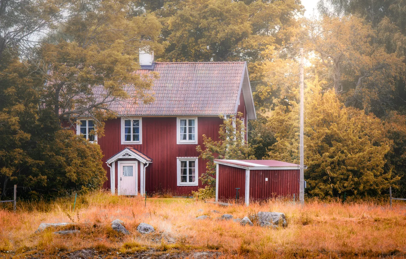 Фото обои осень, дом, утро, house, Autumn, morning, fall