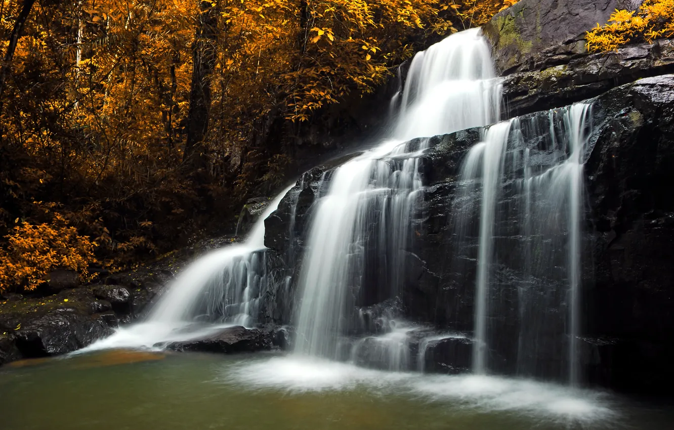 Фото обои осень, лес, листья, деревья, камни, водопад, желтые