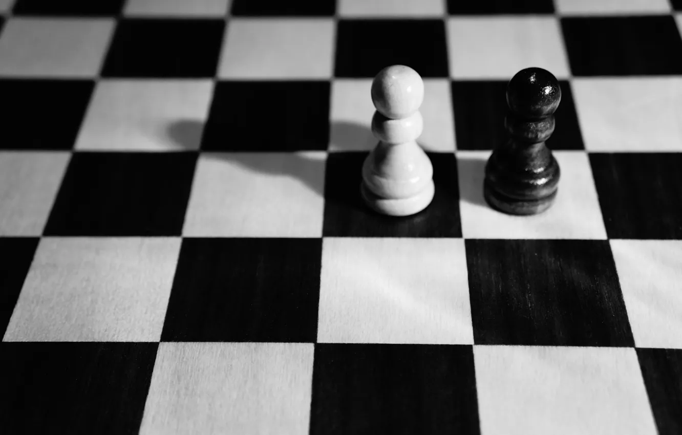 Фото обои шахматы, доска, белые, черные, пешки