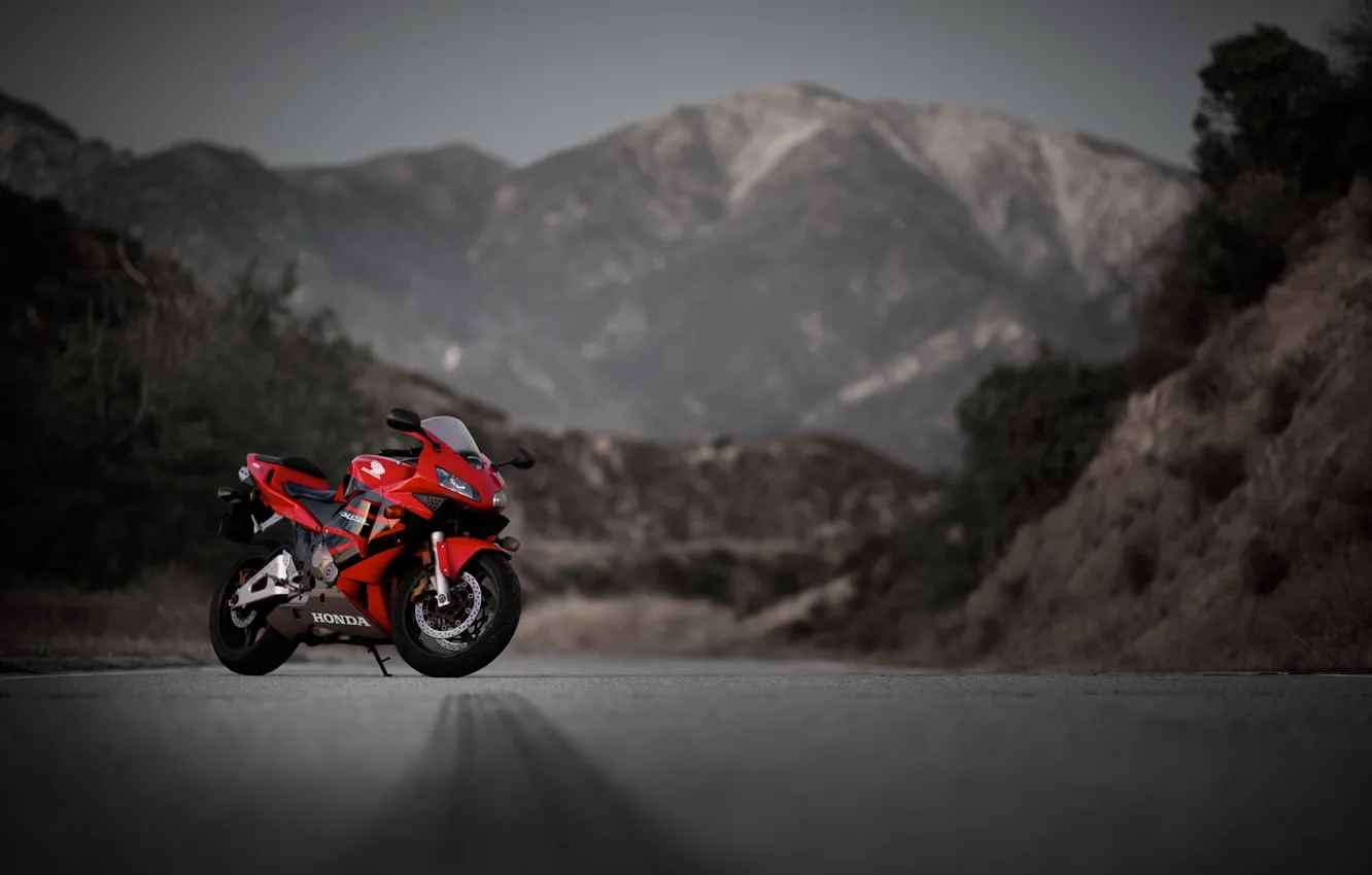 Фото обои дорога, горы, красный, мотоцикл, red, honda, хонда, cbr600rr