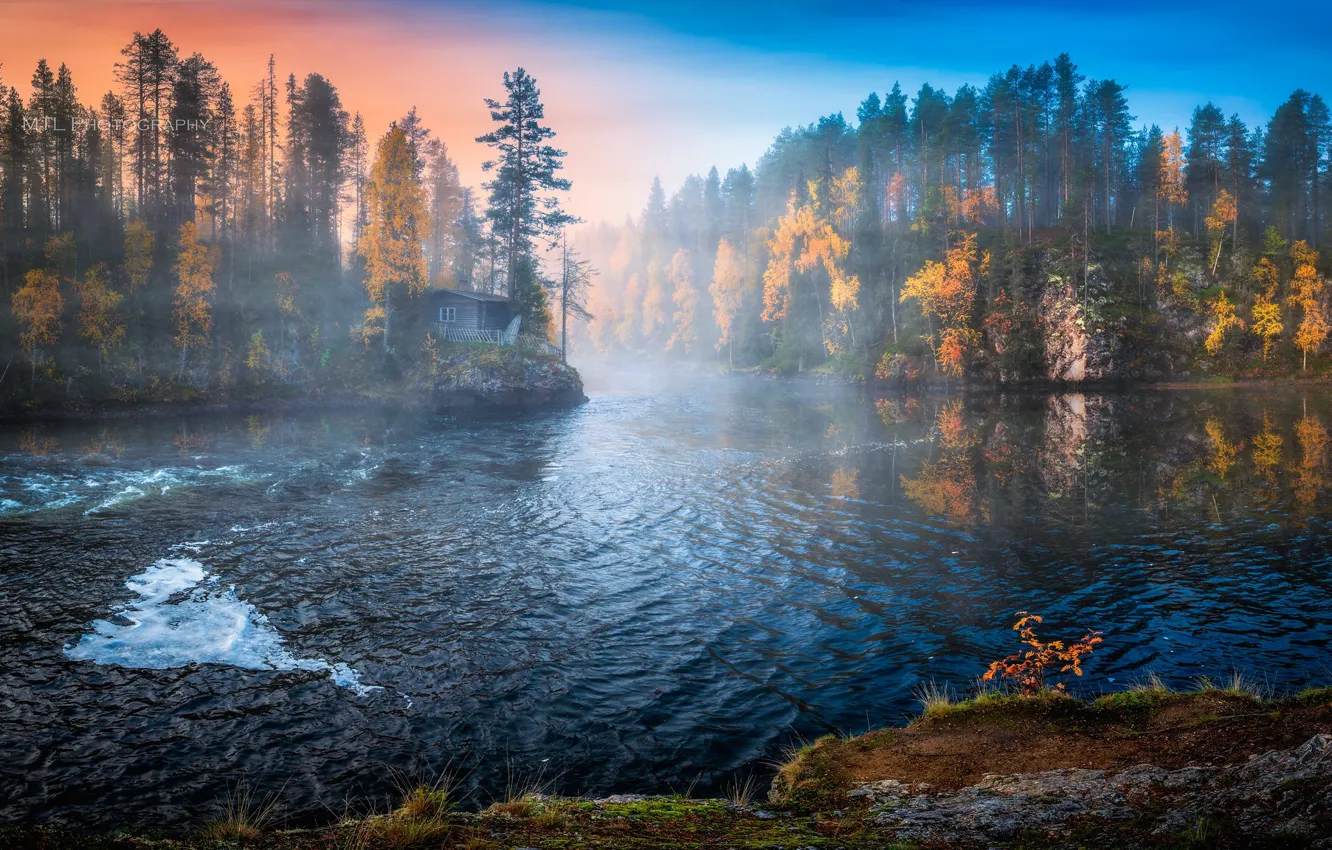 Фото обои осень, лес, деревья, река