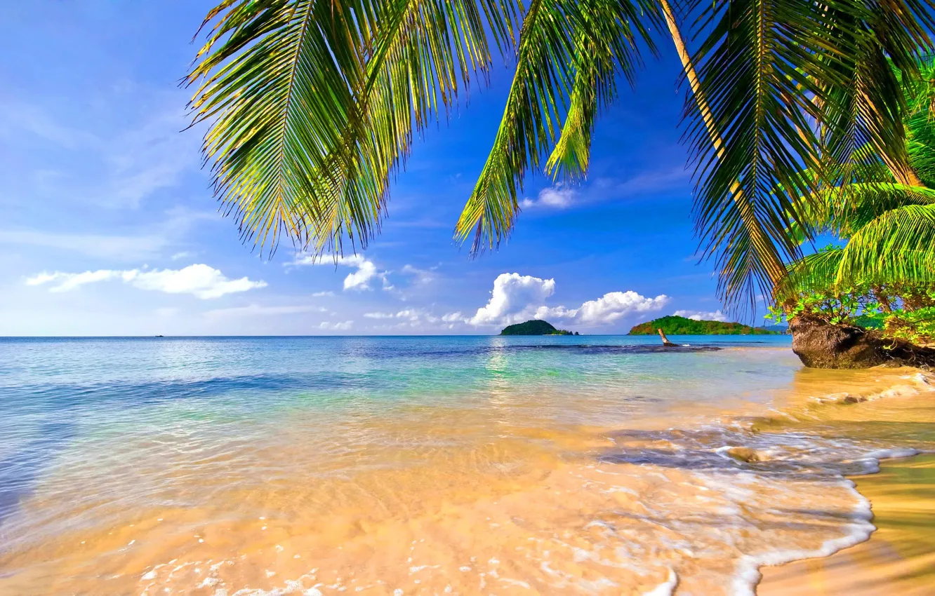 Фото обои песок, море, пляж, небо, облака, пальмы