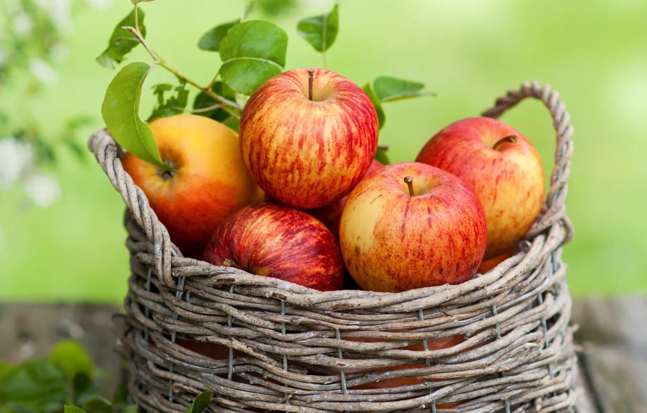 Фото обои осень, листья, корзина, яблоки, фрукты