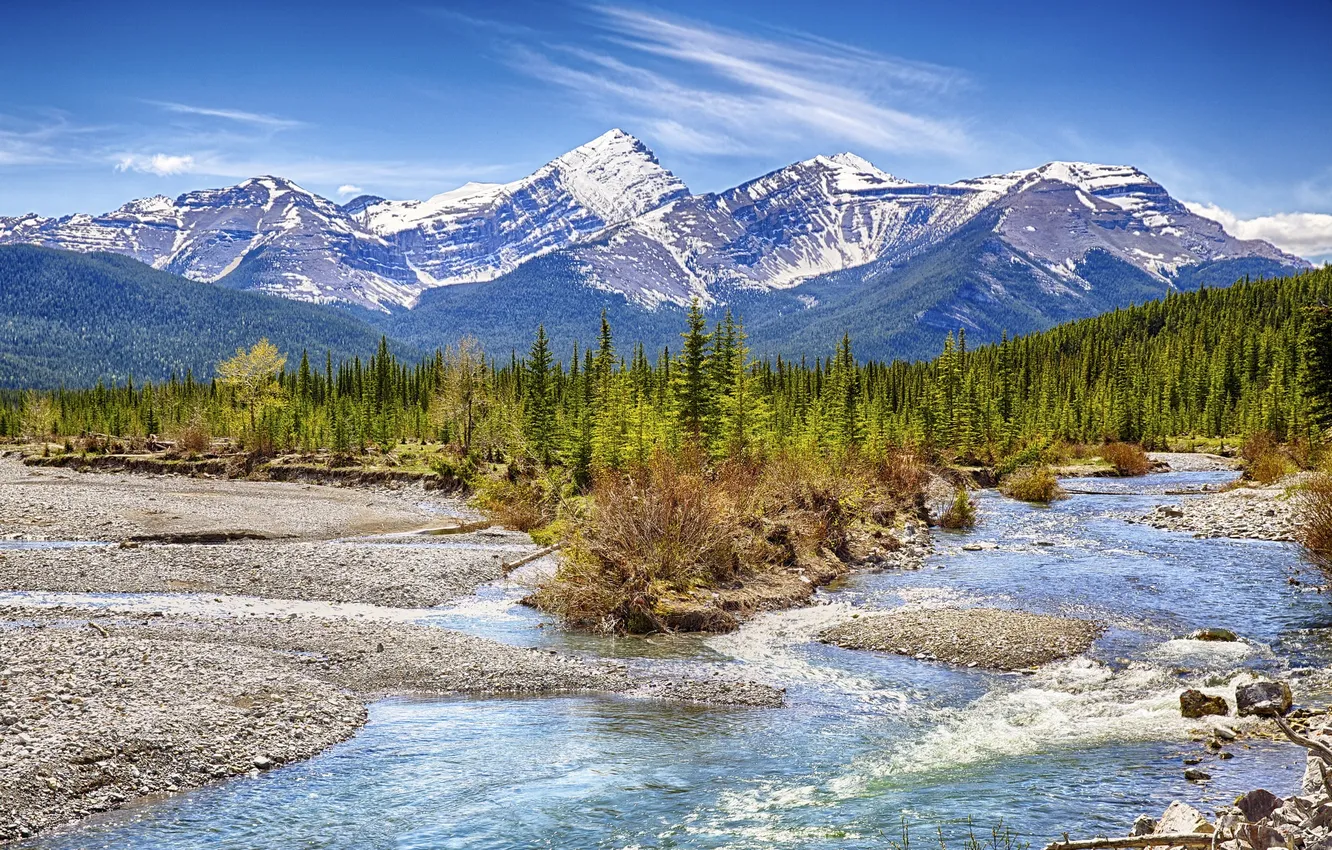 Фото обои лес, небо, деревья, горы, ручей, камни, голубое, Канада