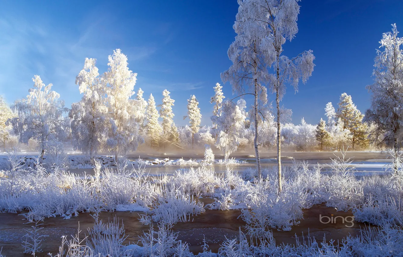 Фото обои зима, иней, небо, вода, снег, деревья, пейзаж