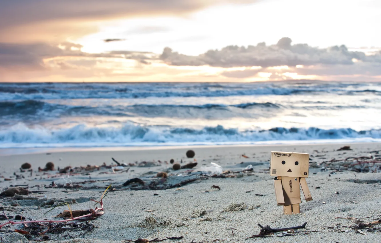 Фото обои песок, пляж, водоросли, закат, игрушка, danbo, фигурка, данбо