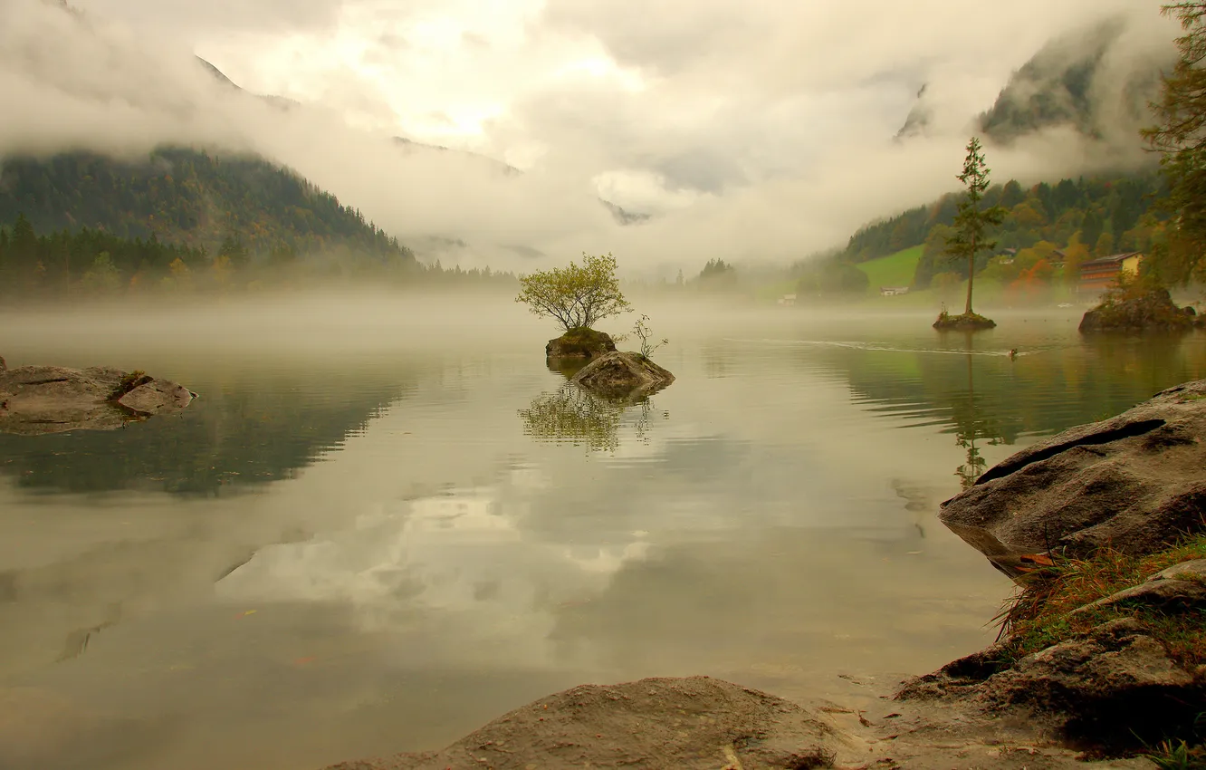 Фото обои лес, горы, природа, туман, озеро, дымка, Germany, Bavaria