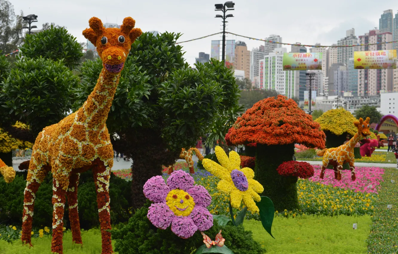 Фото обои цветы, гриб, жираф, цветочки, клумба