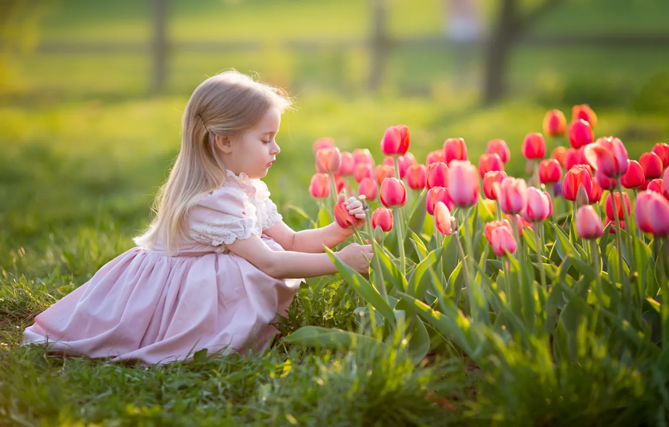 Фото обои цветы, девочка, тюльпаны