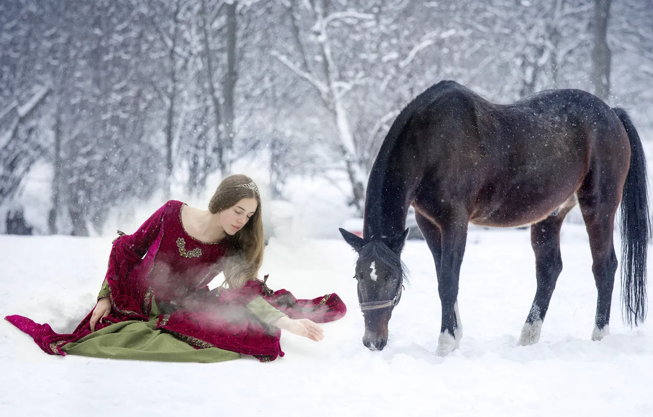 Фото обои зима, девушка, снег, конь, платье
