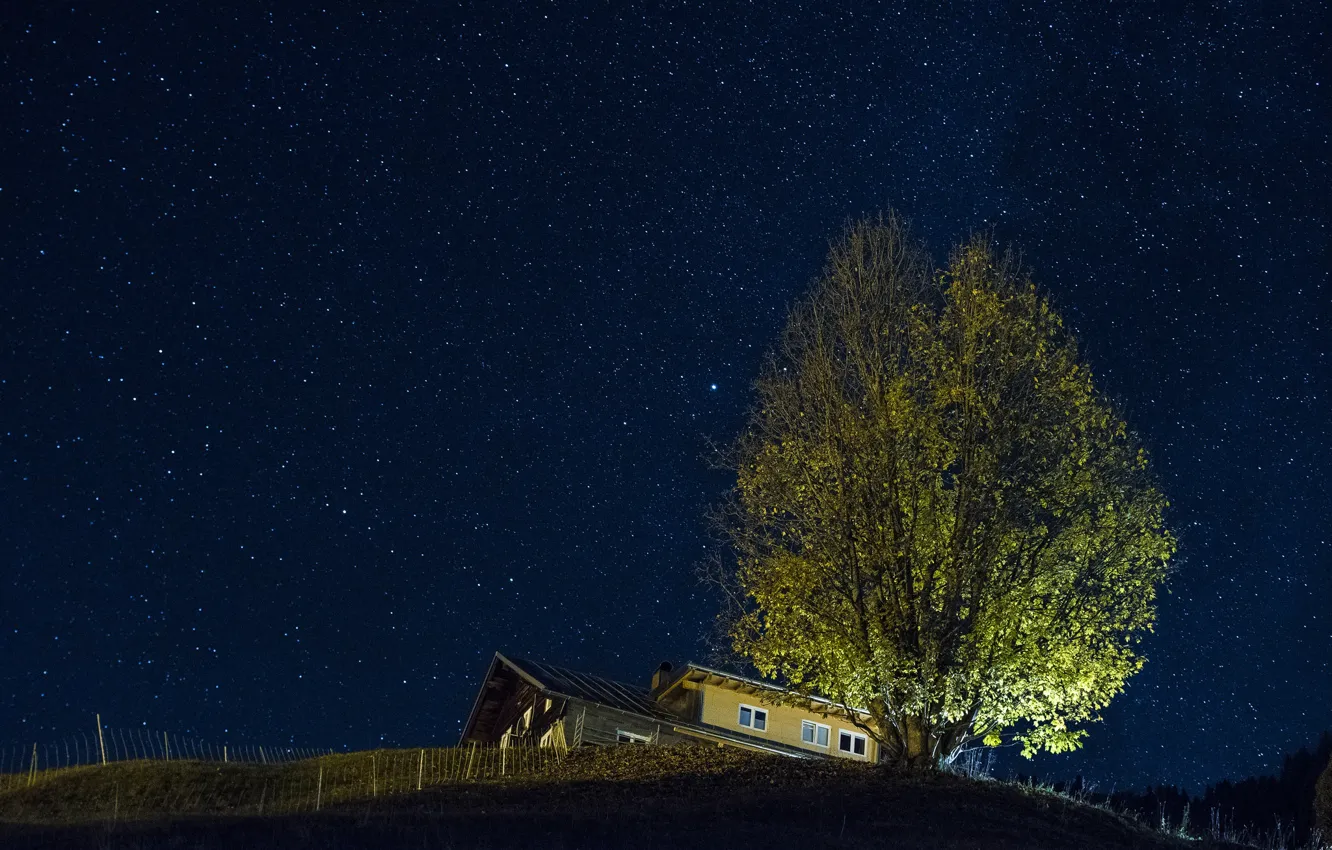 Фото обои звезды, ночь, дом, дерево