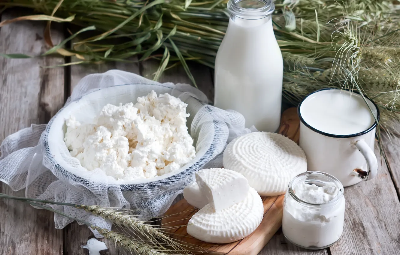 Фото обои сыр, молоко, творог, milk, cheese, молочные продукты, cottage cheese, dairy products